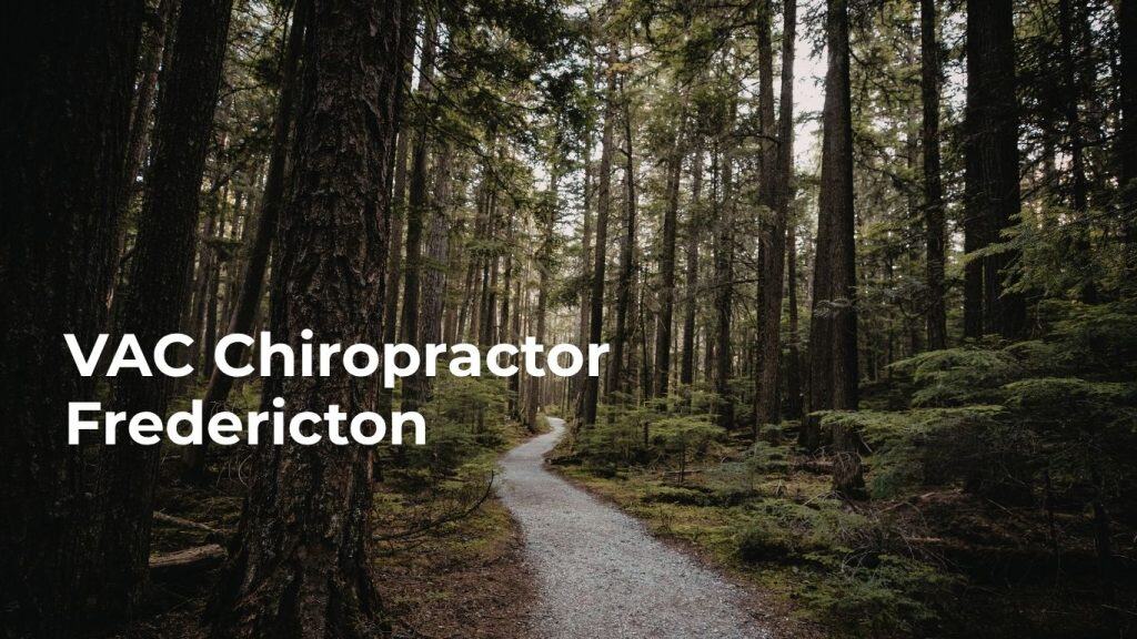 VAC chiropractor Fredericton - forest path symbolizing the journey to recovery for Canadian veterans